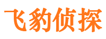 天峻市侦探调查公司